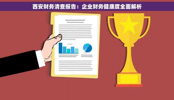 西安财务清查报告：企业财务健康度全面解析