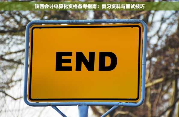 陕西会计电算化资格备考指南：复习资料与面试技巧