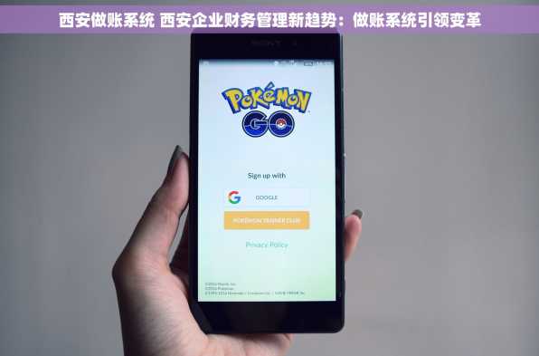 西安做账系统 西安企业财务管理新趋势：做账系统引领变革