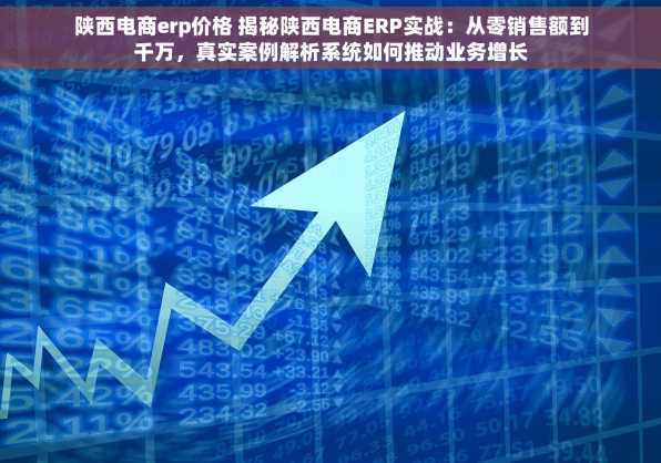陕西电商erp价格 揭秘陕西电商ERP实战：从零销售额到千万，真实案例解析系统如何推动业务增长