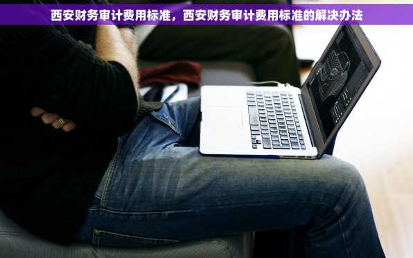 西安财务审计费用标准，西安财务审计费用标准的解决办法
