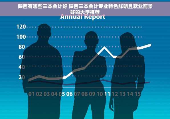 陕西有哪些三本会计好 陕西三本会计专业特色鲜明且就业前景好的大学推荐