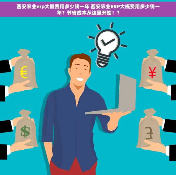 西安农业erp大概费用多少钱一年 西安农业ERP大概费用多少钱一年？节省成本从这里开始！？