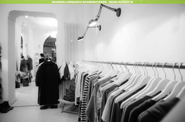 西安电商服装erp有哪些品牌好点 西安电商服装ERP品牌指南，选择正确工具实现业绩飞跃