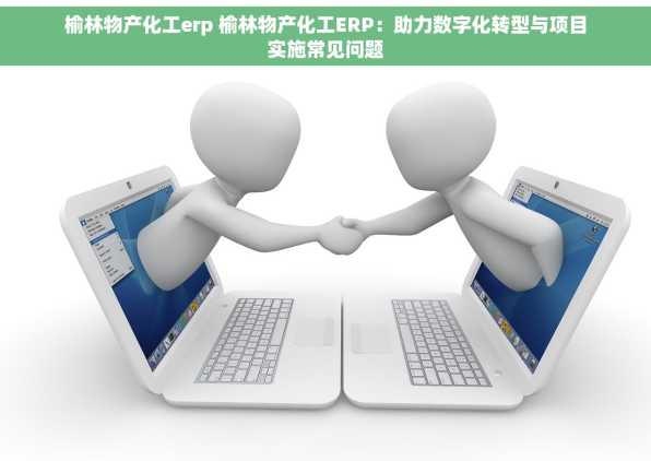 榆林物产化工erp 榆林物产化工ERP：助力数字化转型与项目实施常见问题