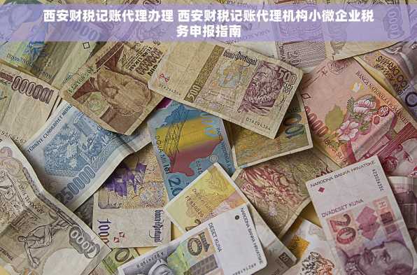 西安财税记账代理办理 西安财税记账代理机构小微企业税务申报指南