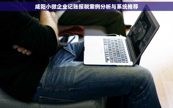 咸阳小微企业记账报税案例分析与系统推荐