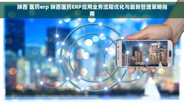 陕西 医药erp 陕西医药ERP应用业务流程优化与最新管理策略指南