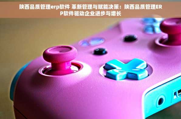 陕西品质管理erp软件 革新管理与赋能决策：陕西品质管理ERP软件驱动企业进步与增长