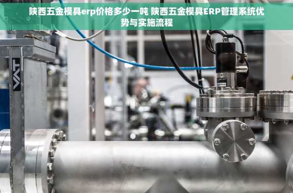 陕西五金模具erp价格多少一吨 陕西五金模具ERP管理系统优势与实施流程