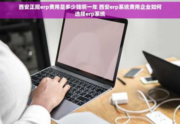 西安正规erp费用是多少钱啊一年 西安erp系统费用企业如何选择erp系统