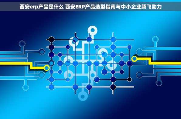 西安erp产品是什么 西安ERP产品选型指南与中小企业腾飞助力