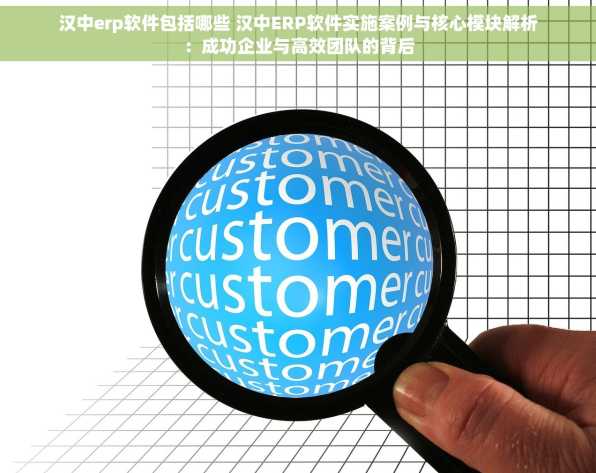 汉中erp软件包括哪些 汉中ERP软件实施案例与核心模块解析：成功企业与高效团队的背后