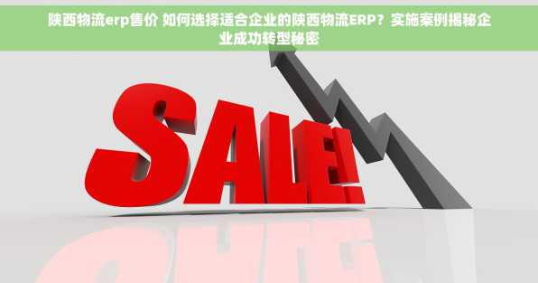 陕西物流erp售价 如何选择适合企业的陕西物流ERP？实施案例揭秘企业成功转型秘密