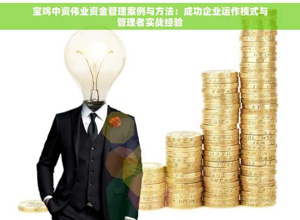宝鸡中资伟业资金管理案例与方法：成功企业运作模式与管理者实战经验