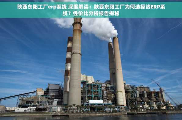 陕西东阳工厂erp系统 深度解读：陕西东阳工厂为何选择该ERP系统？性价比分析报告揭秘