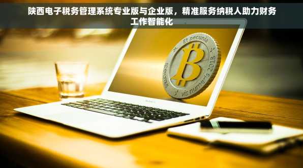 陕西电子税务管理系统专业版与企业版，精准服务纳税人助力财务工作智能化
