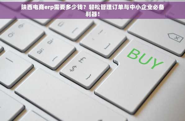 陕西电商erp需要多少钱？轻松管理订单与中小企业必备利器！