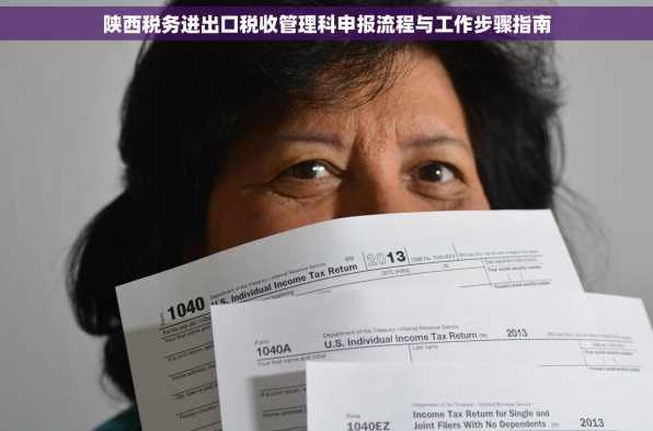 陕西税务进出口税收管理科申报流程与工作步骤指南