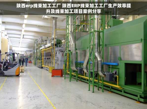 陕西erp线束加工工厂 陕西ERP线束加工工厂生产效率提升及线束加工项目案例分享