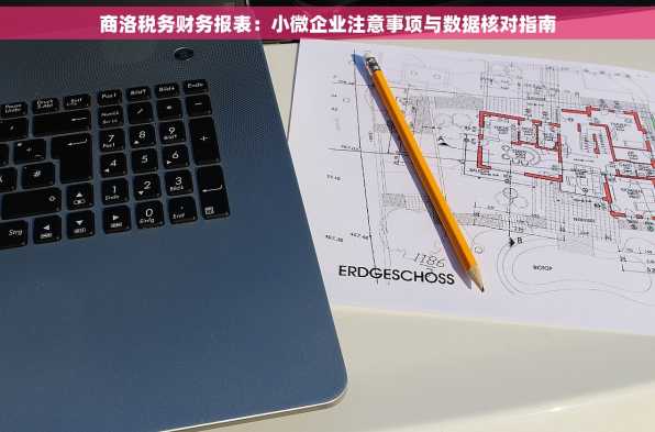 商洛税务财务报表：小微企业注意事项与数据核对指南