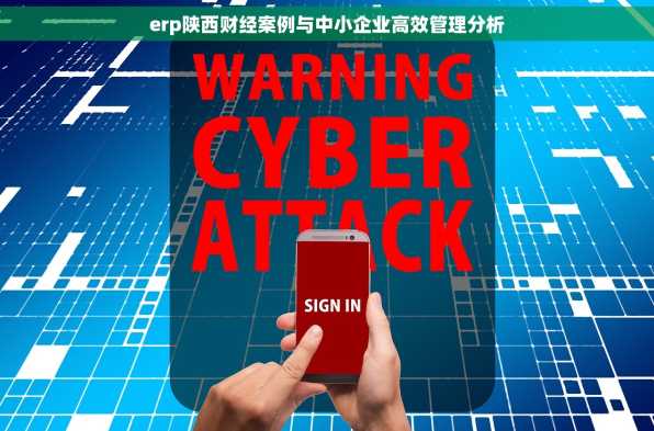 erp陕西财经案例与中小企业高效管理分析